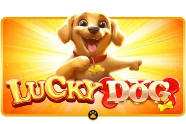 Togel payout table for 2D, 3D, 4D bet types on result ncd